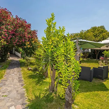 Terrenia Farm stay