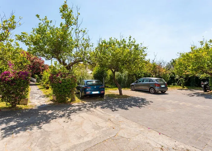 Farm stay Terrenia