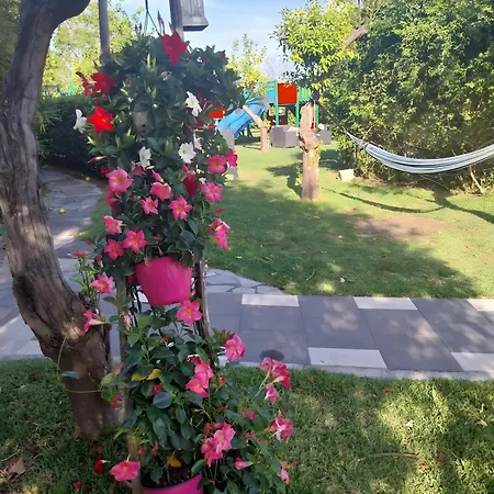 Terrenia בית חווה